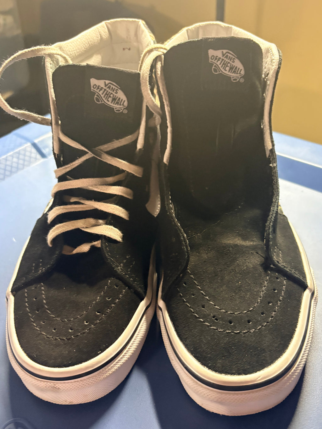 Vans Sk8-Hi "Rose Dreams"